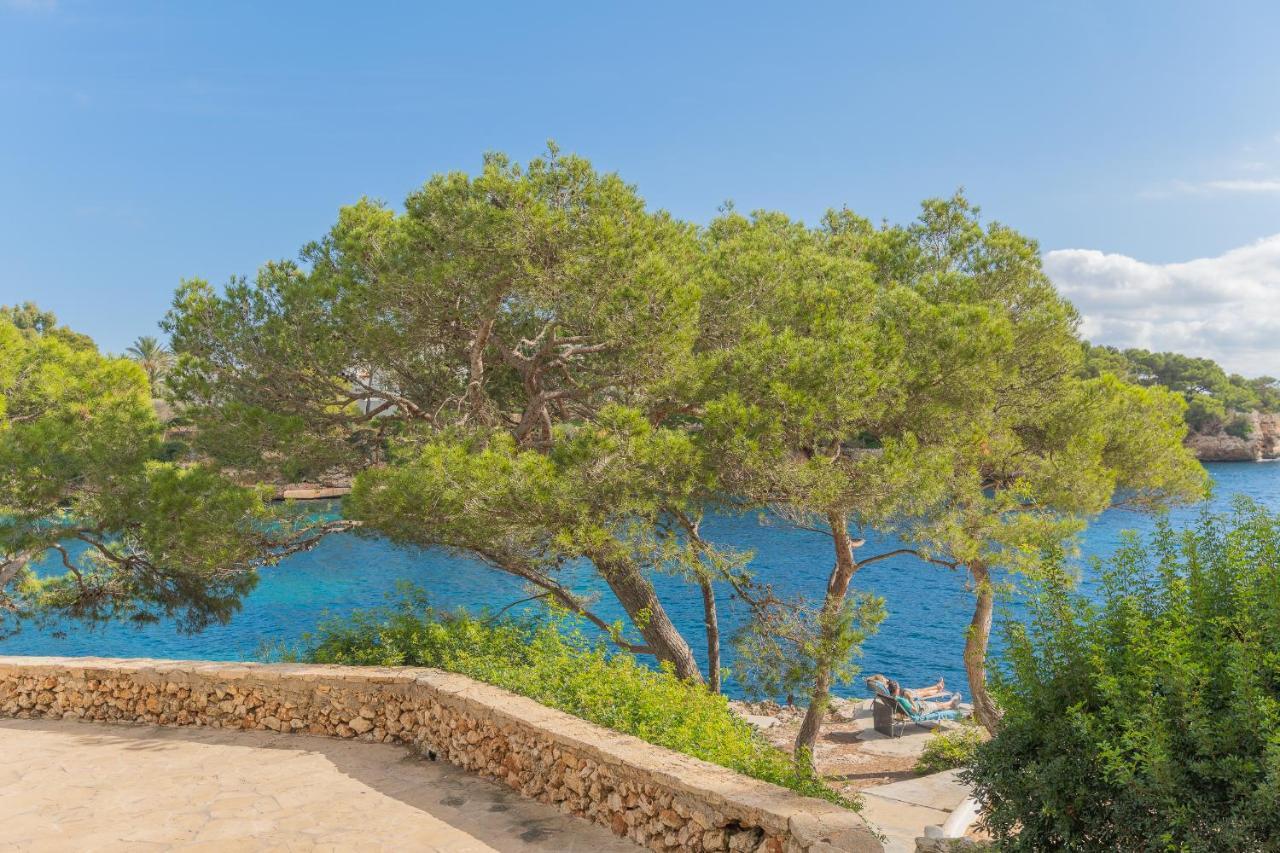 费雷拉公园公寓 Cala D´Or 外观 照片